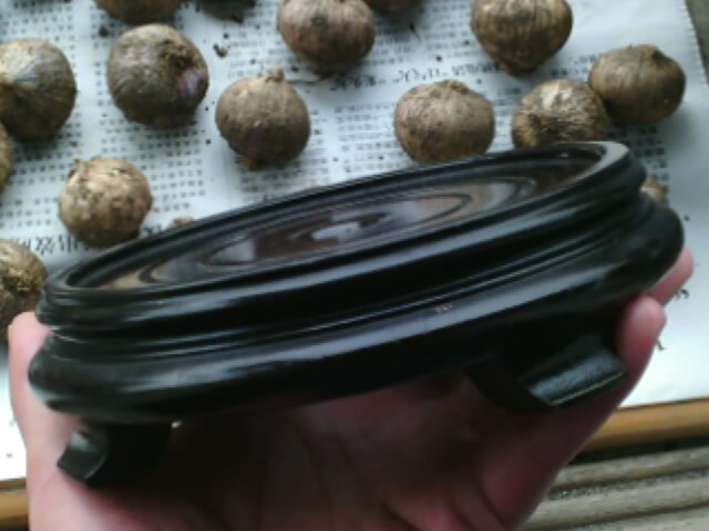 Wooden display base for the wooden display