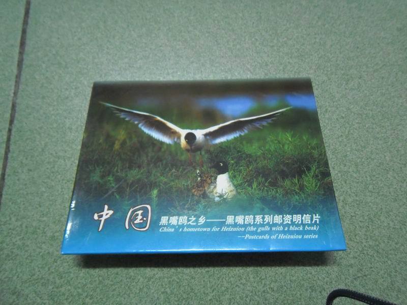 Saunders Series Postage Postcards