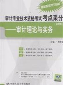 2102795|审计理论与实务-审计专业技术资格考试考点采分(初级...
