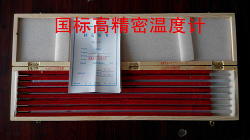 Promotion Laboratory Precision Thermometer high precision 0 1 Indep WLB-21 Type of fine glass Mercury Thermometer