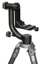 Continental licensed Wembley professional cannon cantilever gimbal WH200 P50 quick plate