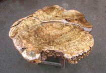 Gold camphor tea dish※Myanmar gold camphor length 75CM width 70CM thick 8CM