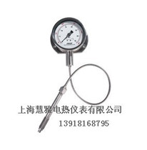 ZHYQ flexible tube pressure gauge transmission output PT124Y-615-35mpa-M22-4-20MA sensor