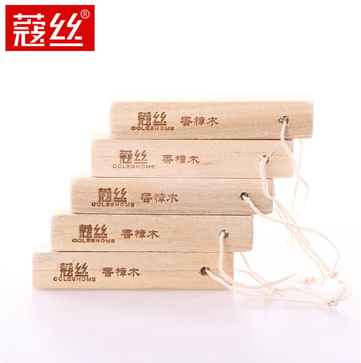 ޢ˿�¹������ľ��5��װZMT5