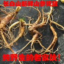 Newly dug Changbai Mountain old wild ginseng stumps with slightly damaged limbs are sold in Jilin Province and are affordable for 2 yuan per gram if you eat them yourself.