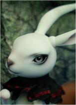 Rabbit-Herber (BJD doll 8 points animal)