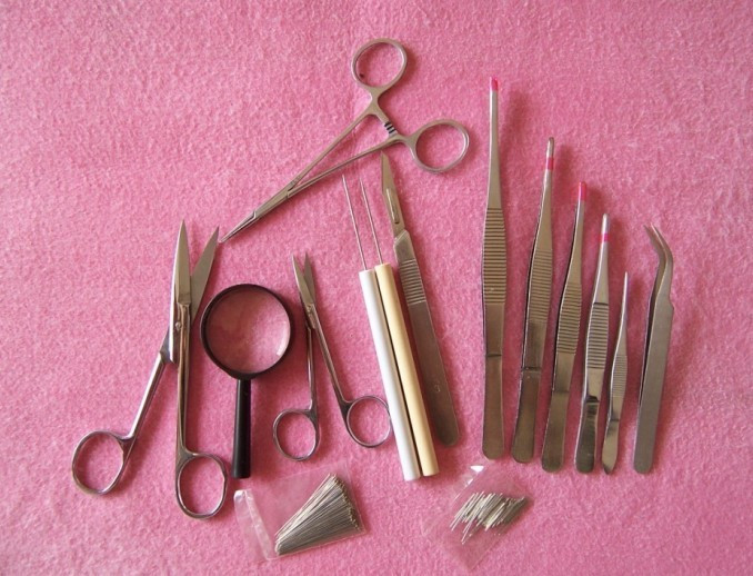 (Insect Specimen Making Tools) Insect Dissection Instruments Dissection Equipment 16 Pieces Pack Can Be Invoiced