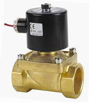 Solenoid valve water valve energy saving solenoid valve 2W-500-50 brass water solenoid valve DN50 AC220V