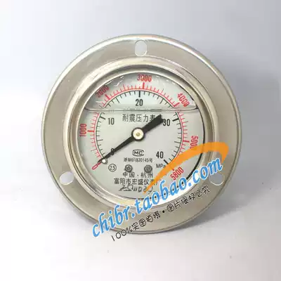 YN-60ZT Axial Belt Seismic Pressure Gauge 40Mpa Oil Pressure Gauge Hydraulic Meter Fuyang Hongsheng Instrument