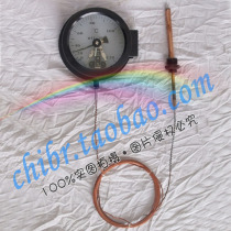 WTZ-288 WTQ-288 Electric Joint Pressure Thermometer Steam Temperature Meter Control Temperature Meter