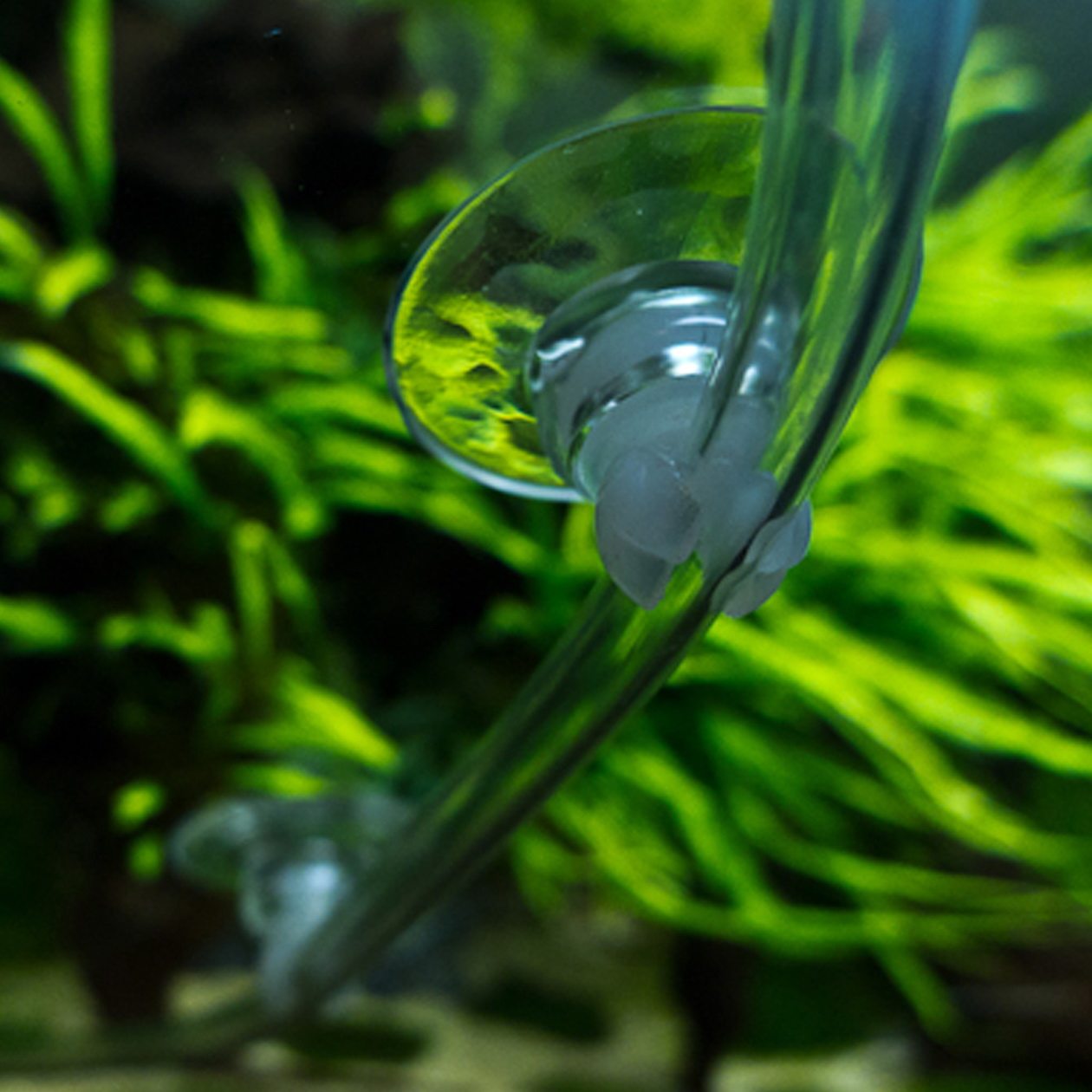 Fields Garden Stroll Heart-shaped Windpipe Clip Suction Cups (Fixed Refiner Windpipe Thermometer, etc.) 4 Assemble