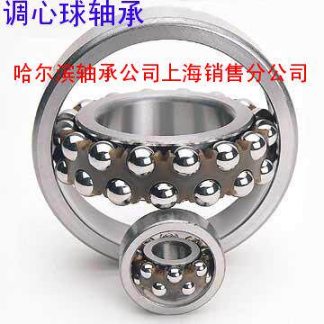 Harbin Bearing Aligning Ball Bearing 111205 Bearing 1205AKTN Bearing 1205K