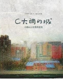 发烧天碟 小娟2011跨年新专辑【C大调的城】2CD 现货热销