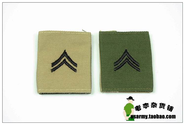 (original product) ECWCS bifacial E-4 CPL corporal sleeve title