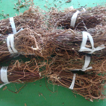  Guangdong Hakka special soup material White flower ground cotton root White flower ground cotton stem 500g