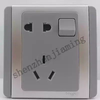 Schneider CLIPSAL Qisheng E3000 Metropolis Series Silver Gray Two Three Pole with Switch Socket