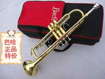 Baja s special promotions