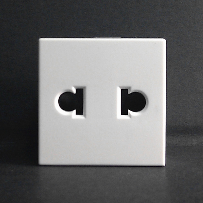 TCL Rogange switch socket 118U series two-eye two-hole socket module 10A250V UG021