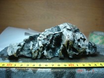 98 Xinjiang Lop Nur Surface Fengling Stone