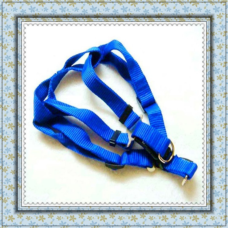 Pet supplies Dog chest large dog nylon chest strap dog neck coil collar in large dog type gold white bear