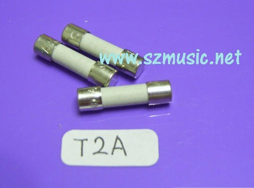 Import T2A 250V 5 x 20 CERAMIC INSURANCE PIPE FUSE