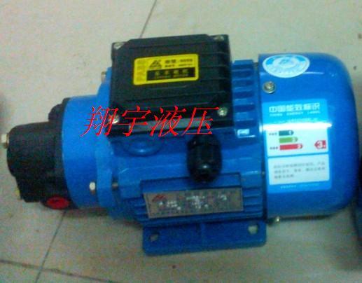BRB - 3JZ (120W 220V micro gear oil pump motor device triangle lubrication pump device
