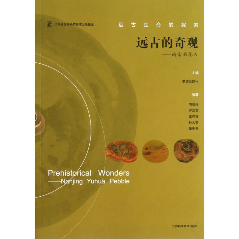 远古的奇观--南京雨花石(远古生命的探索) 正版书籍 自然科学 王德滋 江苏科技9787534596131