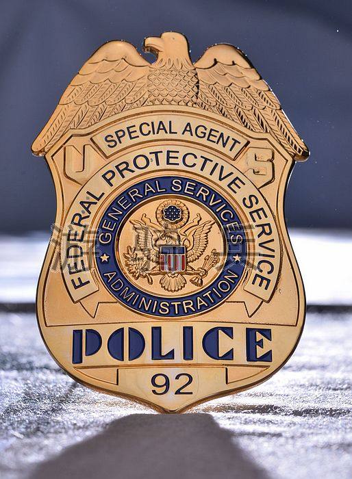 American Metal Badge American Coat of Arms Pure Bronze