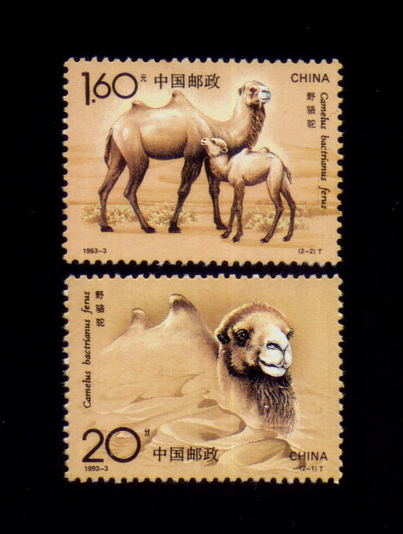 Chroniclestamps 91 1993-3 Camel 2 All brand new