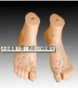 12CM按摩足/按摩足模型/双脚模型