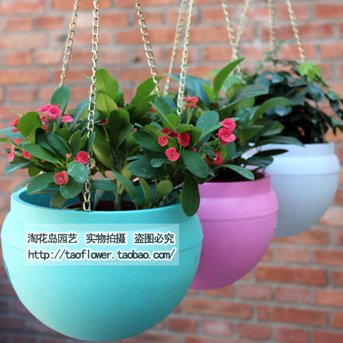 Hanging basin suspended hanging basket flower pots resin plastic hanging basin chandelia flower pot thickened without leaking sloth