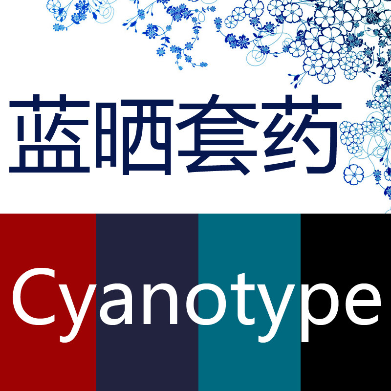 Blue Sun Photography Full Kit (6 bottles) - Litvintage Classical Photography