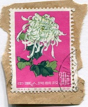 Special 44-16 Chrysanthemum Special Stamp 30 parts (cover the customs stamp)