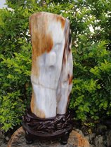 Fortune Hengshun Myanmar tree fossil wood jade ornament Yellow wealth meeting gift 92162#(Shan Xiqi Gallery)