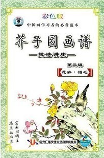 芥子园画谱技法讲座-花卉翎毛第3辑(13VCD)中央广播电视大学
