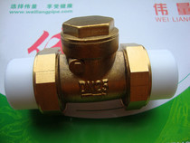 PPR check valve PPR brass horizontal check valve backstop valve check valve 4 points 6 points 1 inch double hot melt pipe welding