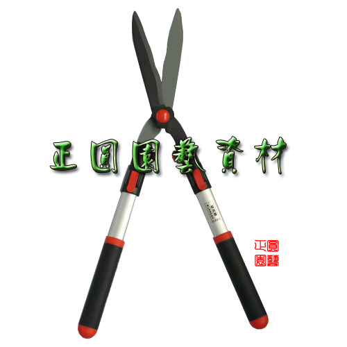 Taiwan - made Sakagauge lawn cutting hedge cutting tree branch cutting gardening large scissors hedge rake cutting