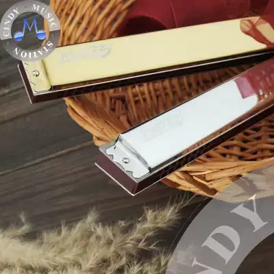 Easttop Oriental C D E F G A B #C #D #F #G #A 28-hole polyphonic harmonica