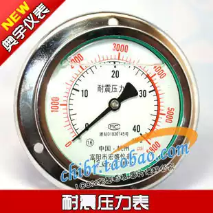 Axial Seismic Pressure Gauge YN100ZT(0-40MPA) YN-100ZT Axial Pressure Gauge Hydraulic Gauge