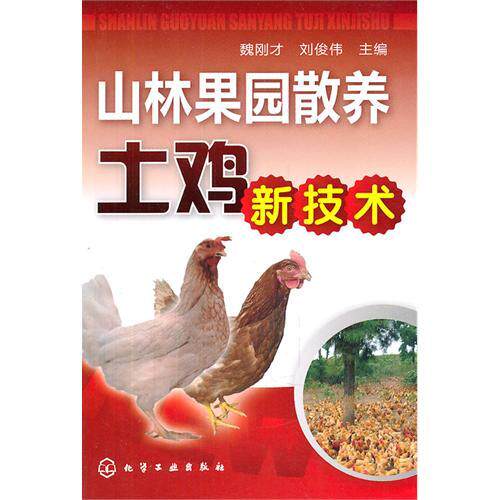 Mountain Forest Orchards Free-range native chicken New technology Wei Junwei Liu Editor-in-chief