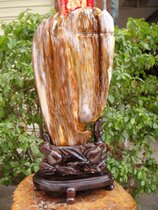 Smooth sailing Chanterelle yellow housewarming gift Myanmar tree fossil wood jade decoration 91620 Shan Xiqi Gallery