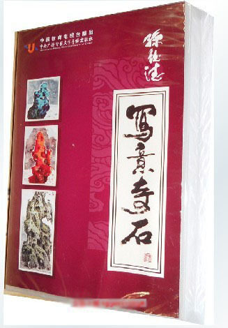 孙钰德 写意奇石 5DVD