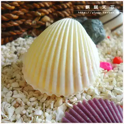 (Fairy scallops-living in the world)Food basin water feeder A pair of 2 hermit crab feeding plates Drinking bowls