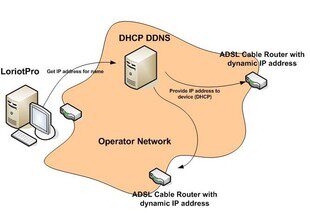 Dynamic Domain Name Resolution system-ddns service construction and maintenance