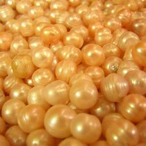 Pearl (high quality) for Manza Tibetan Buddhism Tantra (Mandala)