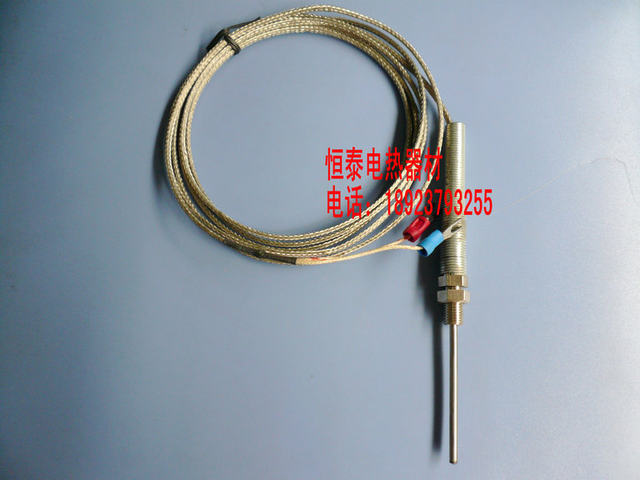 Probe type temperature sensor thermocouple temperature sensing wire temperature probe K-type probe 3MM*50mm*2 ແມັດ