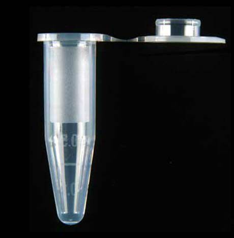 axygen Axygen 0 5ml 1 5ml 2 0ml colorless transparent centrifuge tube