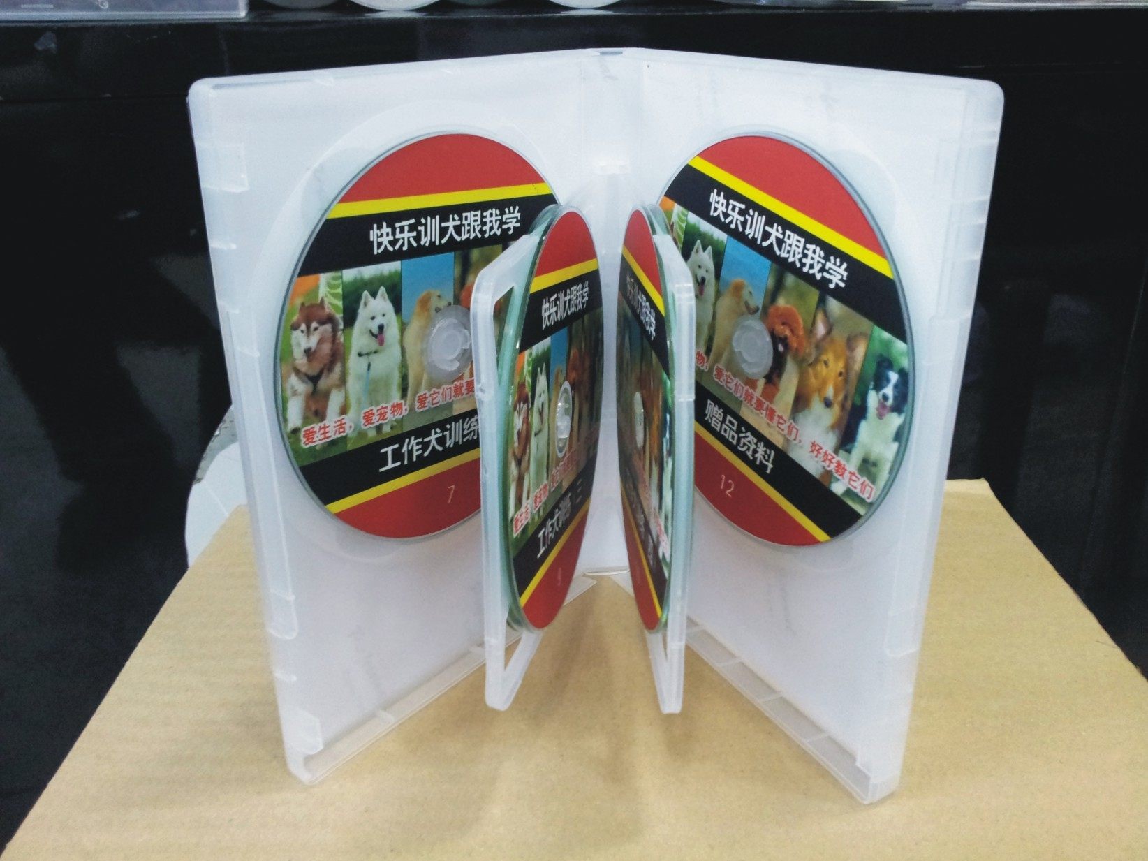 CD - Disc cover printing CD - ROM printing CD - Disc making electronic photo - book filmmaking content burn pressure