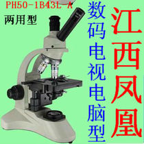 Jiangxi Phoenix optical biological microscope PH50 magnification 1600 times USB electronic blood detector