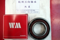 Wama bearing angular contact ball bearing 7204AC P5 46204 20 * 47 * 14 spindle bearings
